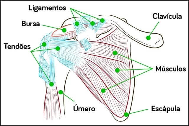 Dor no ombro 01
