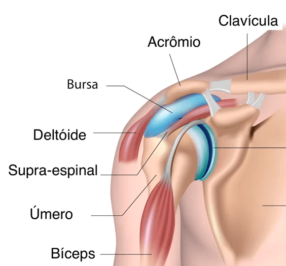 Bursite ombro