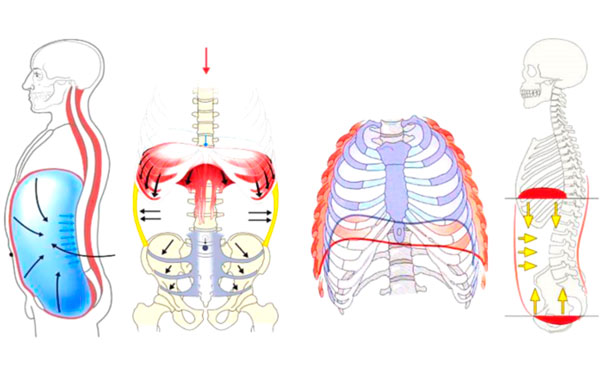 Pressão Intra-abdominal