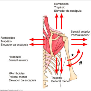 Lesão-no-ombro-no-CrossFit10