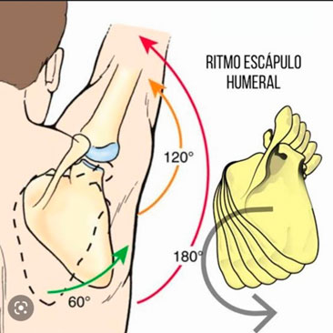 Lesão-no-ombro-no-CrossFit12